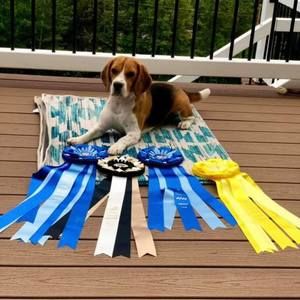 Meet your Posher, Kathy